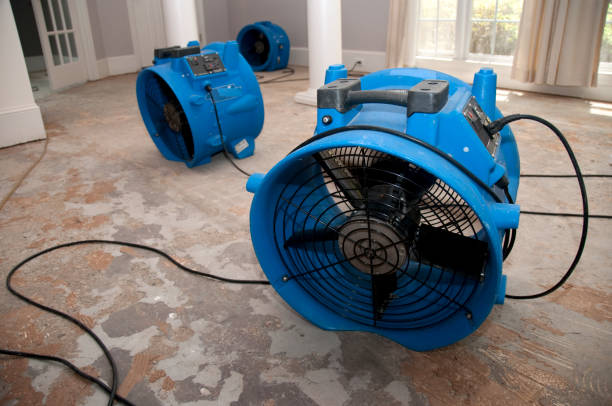  Mount Carmel, PA Water damage restoration Pros